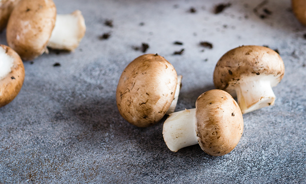 Mushrooms May Affect Cognitive Health