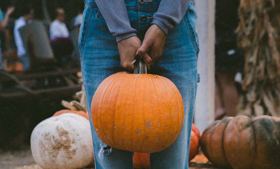 Person holding a pumpkin