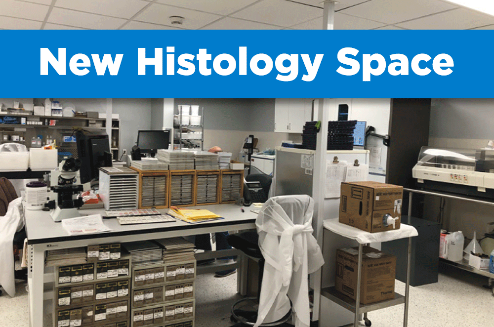 New histology space at CCMH
